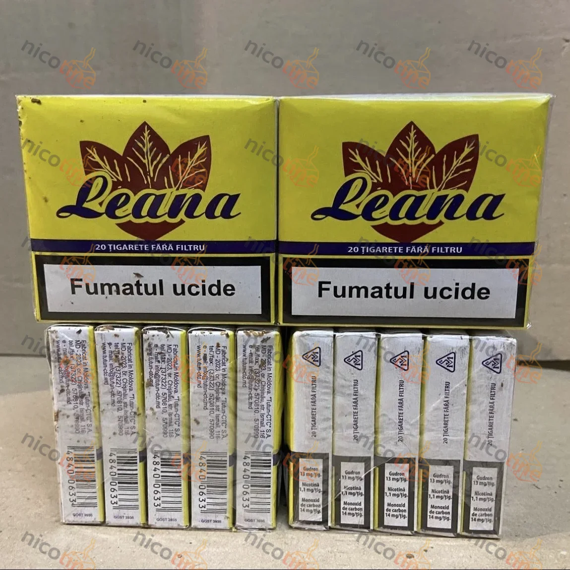 Leana — блок 600 шт ящик